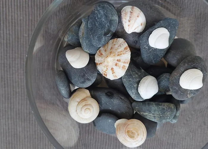 Tatil Evi Callisto *