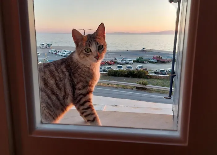 Tatil Evi Callisto *