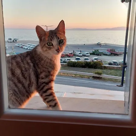Tatil Evi Callisto - Panoramic Sea View *